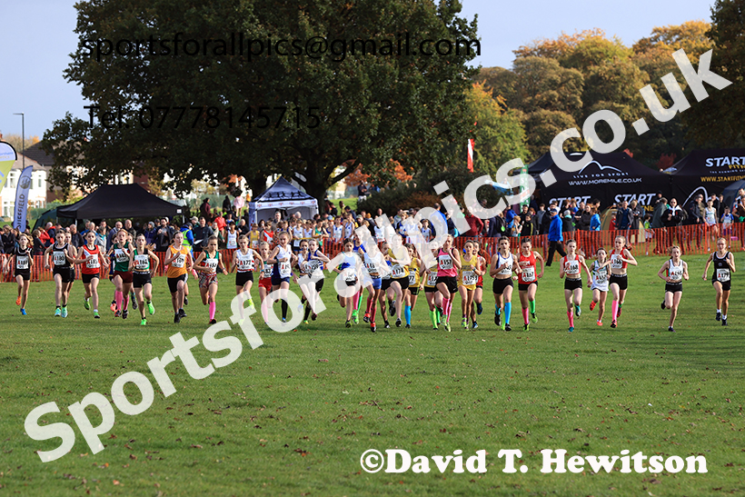 Girls under-13s, 2024 Northern Cross Country Relays, Graves Park, Sheffield.   Photo: David T. Hewitson/Sports for All Pics